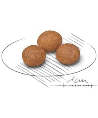 Royal Canin X-Small Adult Dog Food 8+ 1.5kg Poultry 1.5 kg (Pack of 1) - Buy Online on GoSupps.com