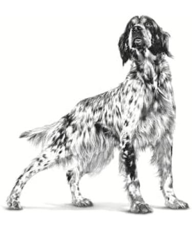 Royal Canin Pill Assist Medium & Large Dog | 225 g | Moldable kibble for the administration of medication in adult dogs of medium and large breeds - Buy Online on GoSupps.com