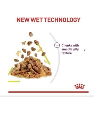Royal Canin Sensory Smell in Jelly Wet Cat Food 85g (Pack of 24) - Buy Online on GoSupps.com