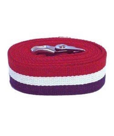 80307 Gait Belt with Metal Buckle 2" Width 60" Length Patriot