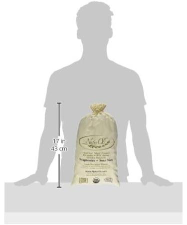 Organic Soap Nuts/Berries - 4-Lbs for 960 Loads + Travel Bottle & Wash Bags | Eco-Friendly Laundry Soap - Buy Online on GoSupps.com