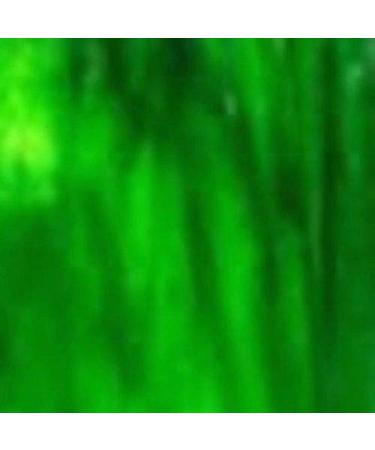 Wissmach Stained Glass Sheet: Light Green w/Streaks of Dark Green (8"x12"-1 Sheet) by BiNARi Glass Studio