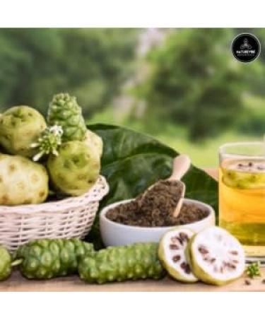 Naturevibe Botanicals Noni Fruit Powder 2lbs - 100% Pure Morinda Citrifolia - Organic & Natural - Buy Online on GoSupps.com