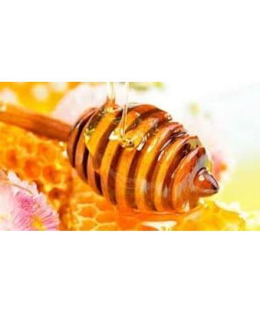 Millefiori Millefiori Monodose in jar 20 g Honey Natural Sweetener sugar paste honey bag 96 pieces - Buy Online on GoSupps.com