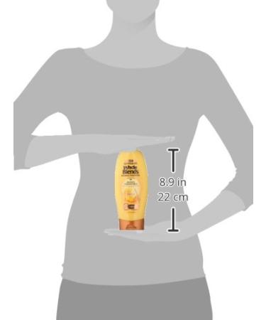 Garnier Whole Blends Repairing Conditioner Honey Treasures for Damaged Hair 22 fl oz - 1 Pack - Buy Online on GoSupps.com