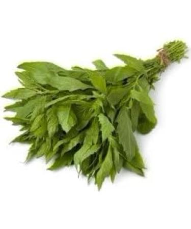 Apexage 2 x Dried Mexican Epazote Spices Preventing Flatulence 40 g - Buy Online on GoSupps.com