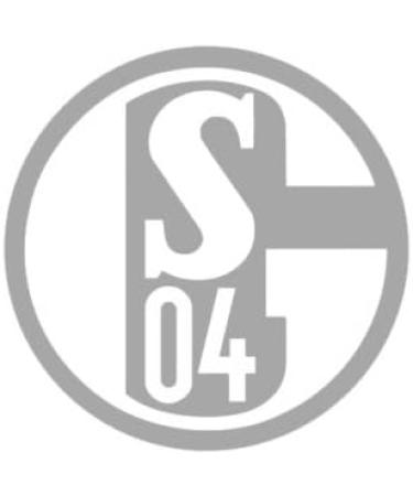 Buy FC Schalke 04 Silver Sticker - International Shipping Available | Official Merchandise - Buy Online on GoSupps.com