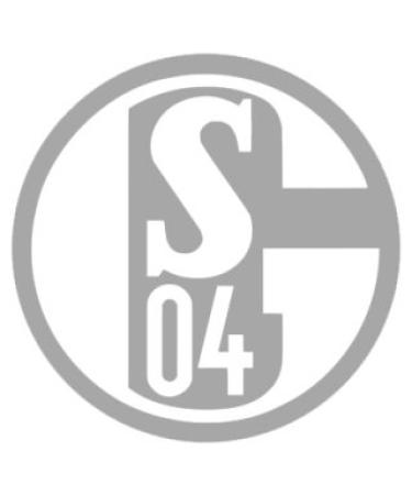 FC Schalke 04 sticker silver