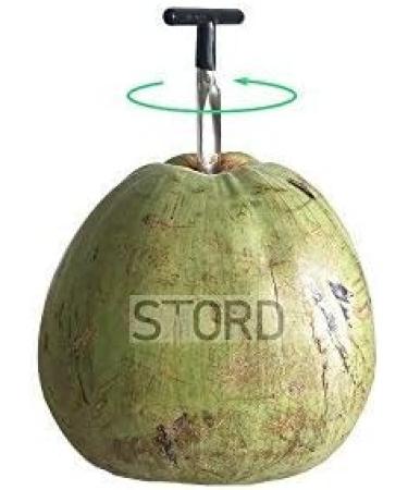 Stord Coconut Opener - Open Fresh, Young White Coconuts in Seconds - Buy Online on GoSupps.com