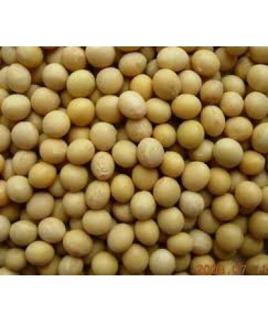 Balsara's 500g - Soy Bean Soy Soy Bean Fat Free Soy Protein