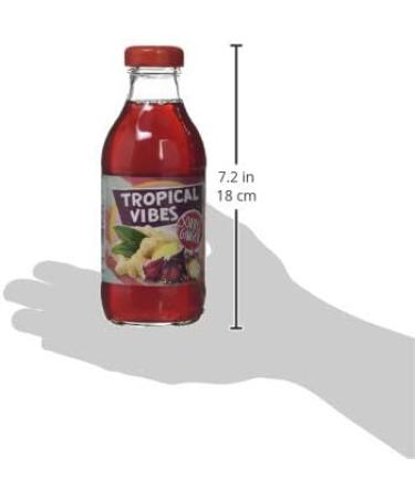 Tropical Vibes Sorrel and Ginger Drink 300 ml - Buy Online on GoSupps.com