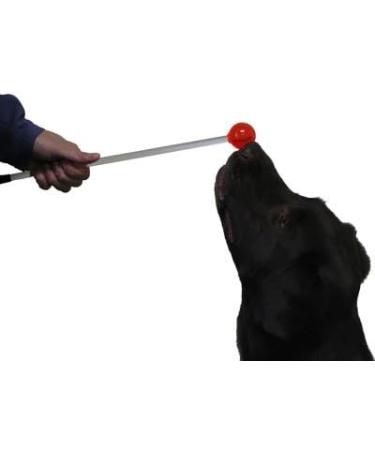 Karen Pryor Lollipop Target Stick for Clicker Training - Buy Online on GoSupps.com