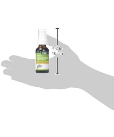 Echinacea Goldenseal Propolis Throat Spray by Gaia Herbs - 1 fl oz (30 ml) | Immune Support - Buy Online on GoSupps.com