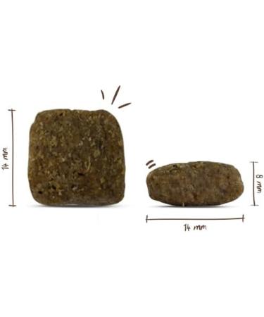 Bosch HPC Adult Dry Dog Food with Fresh Poultry & Millet | 3 kg Pack | Ideal for All Breeds - International Shipping Available - Buy Online on GoSupps.com