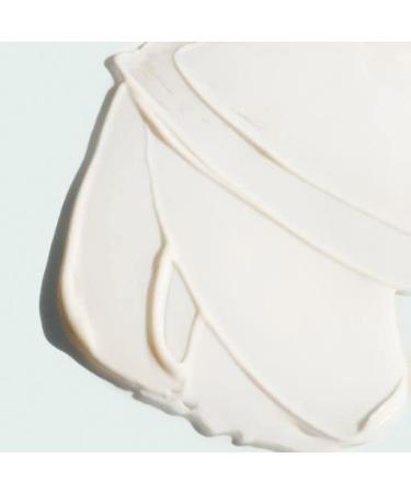 IMAGE Skincare the MAX Cr me - Plant Cell Extracts for Youthful Skin - 1.7 fl oz - Buy Online on GoSupps.com