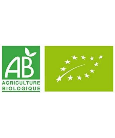 CAPSUL&BIO Th Vert la Menthe biologique - 50 Capsules Biod gradables - Compatible avec les machines Nespresso - 100% V g tales - Rapide et Sain - Fabrication Fran aise - Buy Online on GoSupps.com