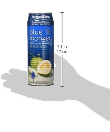 Blue Monkey 100% Coconut Water NFC (12pk) 12 Count - Buy Online on GoSupps.com
