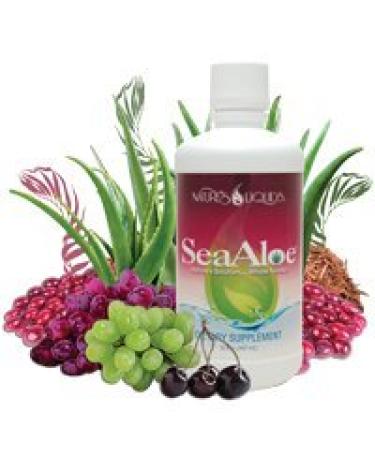 Nature's Liquids SeaAloe Liquid Whole Food 32 Oz - Multivitamin & Mineral Supplement With Aloe Vera, Sea Vegetables, Pau D'Arco for Digestion & Immune Support - 2 Bottles - Buy Online on GoSupps.com