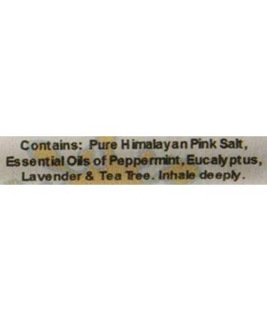 Urban ReLeaf NETI Salt Air Relief Inhalers - Set of 2 | Natural Sinus & Lung Wellness with Himalayan Botanicals | Aromatherapy for Colds Asthma & Cough - Buy Online on GoSupps.com