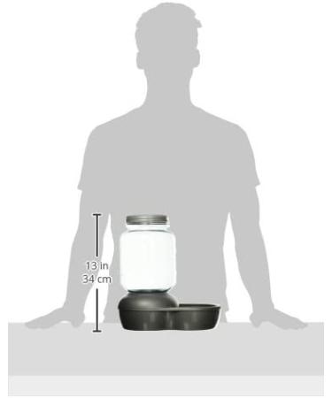 Petmate Mason Inspired Replendish Gravity Waterer 0.5-4 Gallons in Silver - Ideal Water Dispenser for Dogs and Cats - Buy Online on GoSupps.com