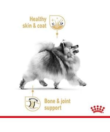 Royal Canin Pomeranian Adult Dog Wet Pouches 85g (Pack of 48) - Buy Online on GoSupps.com