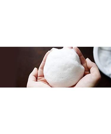 Nippon Kodo Deitanseki Soap 5.3oz - Natural Detoxifying Charcoal Cleansing Bar - Buy Online on GoSupps.com