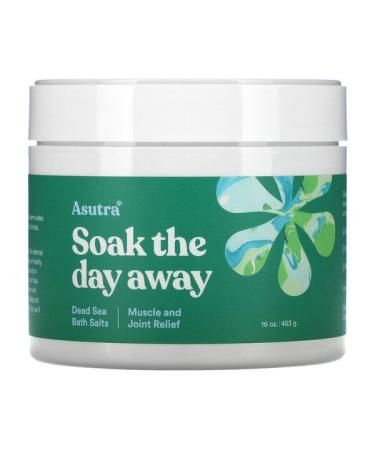 Asutra Soak The Day Away Dead Sea Bath Salts Muscle & Joint Relief 16 oz (453 g)