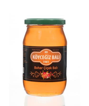 kb koycegiz honey Spring Flower Honey 450 G Glass Jar - Buy Online on GoSupps.com
