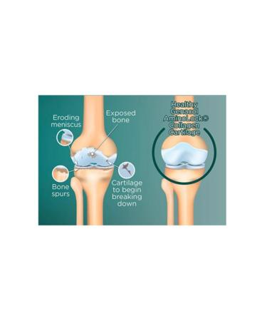 Genacol Plus Glucosamine Aminolock Collagen 90 Capsules - Buy Online on GoSupps.com