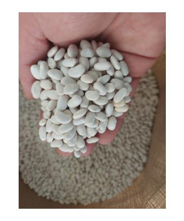 irfan legumes Dry beans 1 kg black eyed peas 1 kg red kidney beans 1 kg (village produce) - Buy Online on GoSupps.com