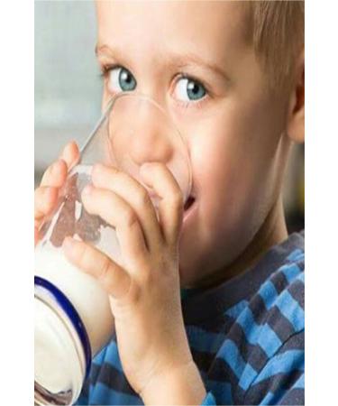 Nestle Nido Milk Powder 400 gr - Buy Online on GoSupps.com