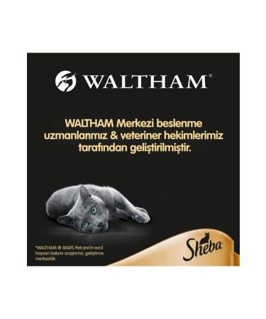 Whiskas Sheba Pouch Salmon Wet Cat Food 85 Gr X 12 Pieces - Buy Online on GoSupps.com