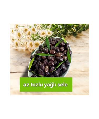 TANER B RG L OLIVE GEML K Gemlik Less Salty Oily Saddle Black 1kg - Buy Online on GoSupps.com