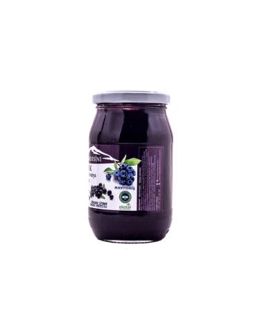 Hopa Blueberry Organic Blueberry and Aronia Extract Puree - Sugar Free - 350gr - Buy Online on GoSupps.com