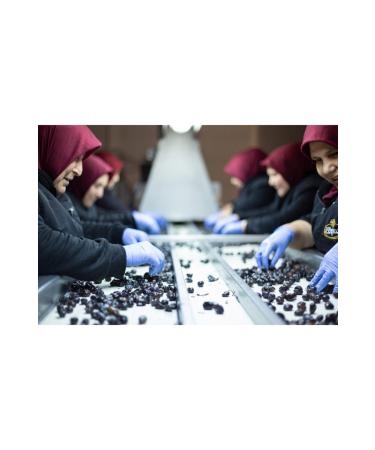 EMC EGEL MUSTAFA OSKUN Mustafa Co kun Oily Saddle 291-320 Kb S Black Olive Tin 10 Kg - Buy Online on GoSupps.com