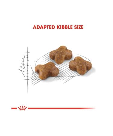 Royal Canin Kitten Dry Cat Food 4kg - Buy Online on GoSupps.com