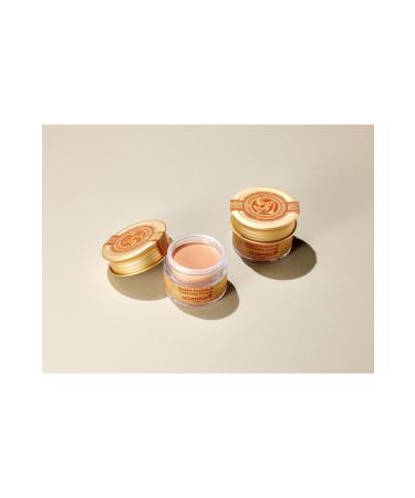Skinfood Salmon Concealer (2) + Salmon Brightening Eye Cream - Buy Online on GoSupps.com