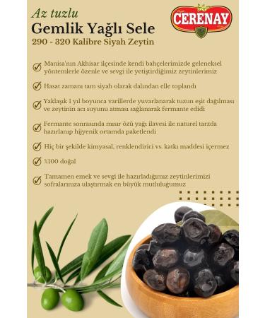 CERENAY ZEYT NC L K Low Salt Gemlik Oily Sele Table Black Olives 291-320 Caliber 10 KG - Buy Online on GoSupps.com