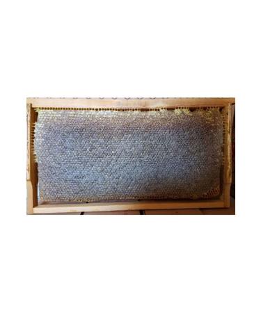 Poniba Organic Pure Karakovan Honeycomb Honey 3kg - Buy Online on GoSupps.com