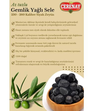 CERENAY OLIVE Slightly Salty Gemlik Oily Sele Table Black Olives 231-260 Caliber 10 KG - Buy Online on GoSupps.com