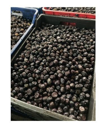 Sailor Olive Mega Oily Saddle Black Olive - Buy Online on GoSupps.com