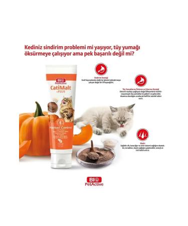 Bio PetActive Biopetactive Set(bioderm Cat+cati Malt Paste) - Buy Online on GoSupps.com