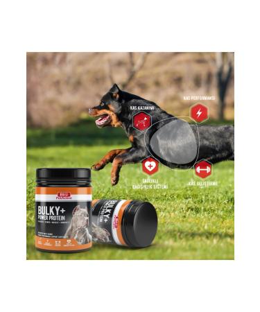 Bio PetActive Bulky Power - Muscle Builder for Dogs - Buy Online on GoSupps.com