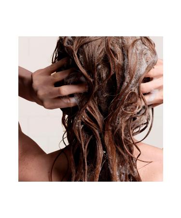 Aveda Botanical Repair Repair Conditioner for Damaged Hair 1000ml 18084019542 - Buy Online on GoSupps.com