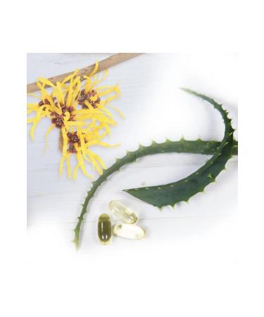 Dickinsons Witch Hazel Moisturising Toner with Rose Water 473ml - Buy Online on GoSupps.com