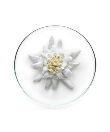 Lancome Uv Expert Milky Bright Sunscreen Cream SPF 50 Protects Skin Against Stains and Darkening 50 Ml - Buy Online on GoSupps.com