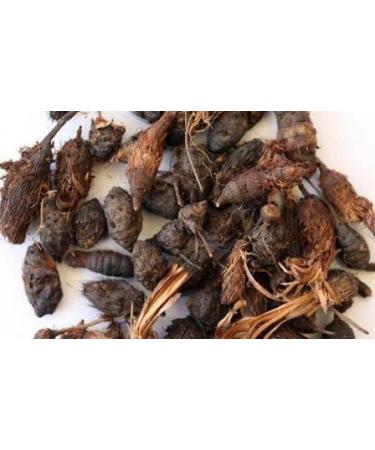 NAGARMOTHA - MUSTAK - Cyperus ROTUNDUS - 250 g