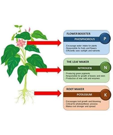 VAYUP Extra Power Mustard Cake Powder Organic Fertilizer for Home Garden Manure for Plants 1kg - Buy Online on GoSupps.com