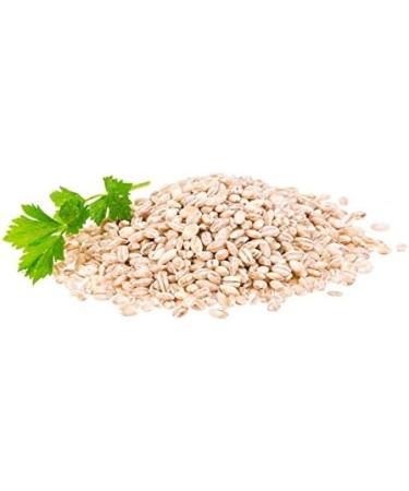  Sabarot Sabarot - Pearl Barley 1kg - Buy Online on GoSupps.com