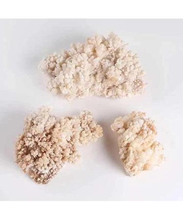 1pc Natural Stalactite raw Quartz Cluster for Decoration 210g-300g Crystal Random - Buy Online on GoSupps.com